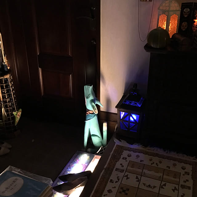 sixflagsさんの実例写真