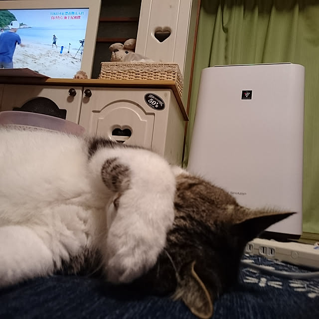 yumiさんの実例写真