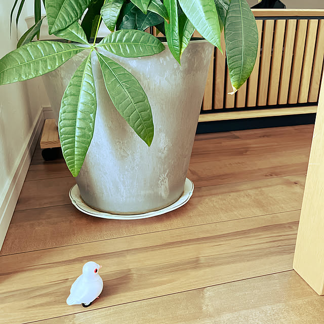 asasouさんの実例写真