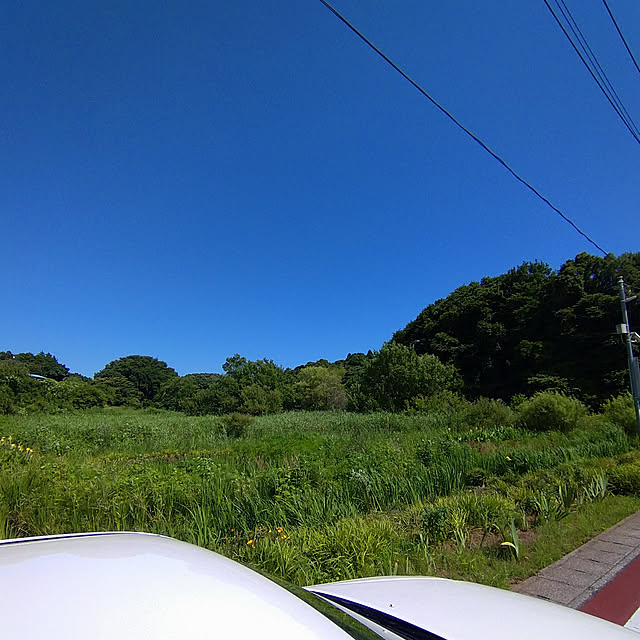 実例写真