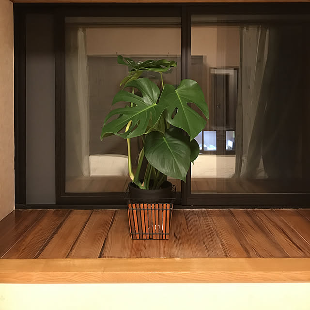 waraihiroさんの実例写真
