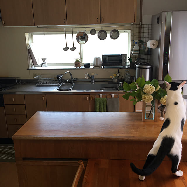 nobikoさんの実例写真