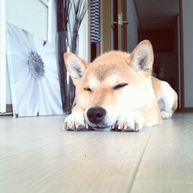 kさんの実例写真