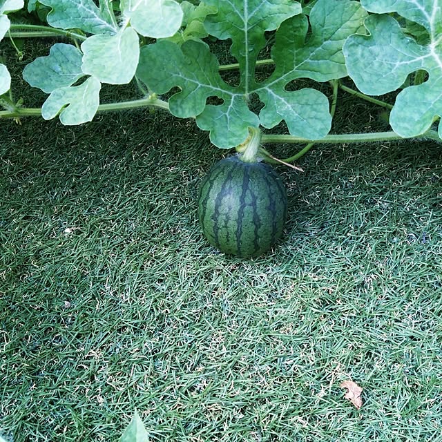 NAOKIさんの部屋