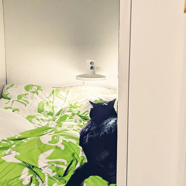 shabikoさんの実例写真