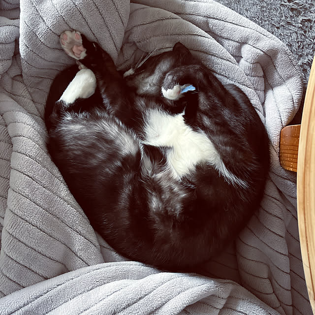 masamasaさんの実例写真