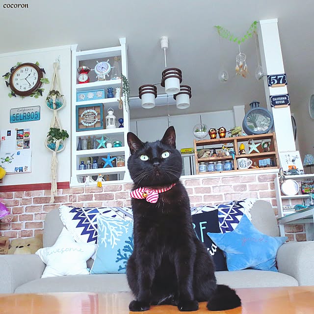 cocoronさんの実例写真