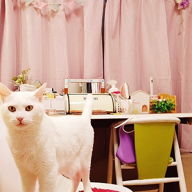 keikomokonさんの実例写真