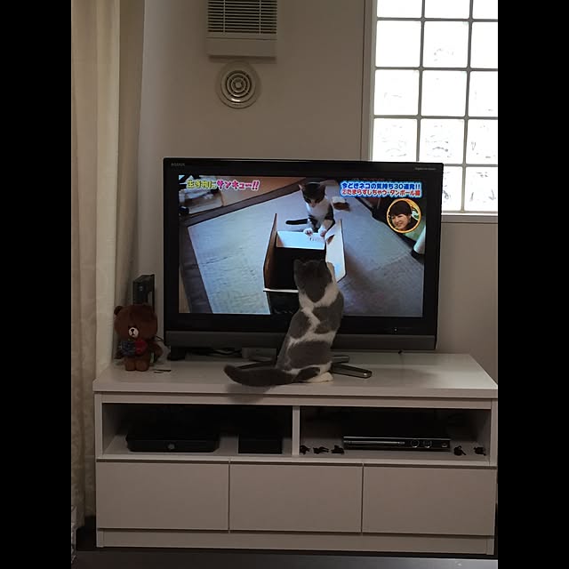 Yuriさんの実例写真