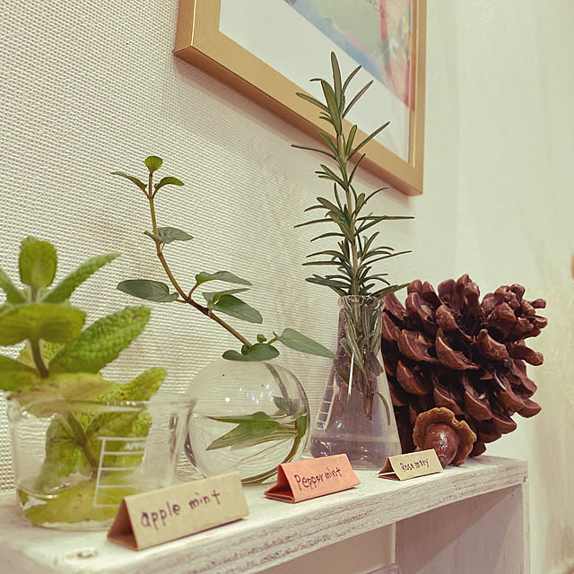 kozakura10さんの実例写真
