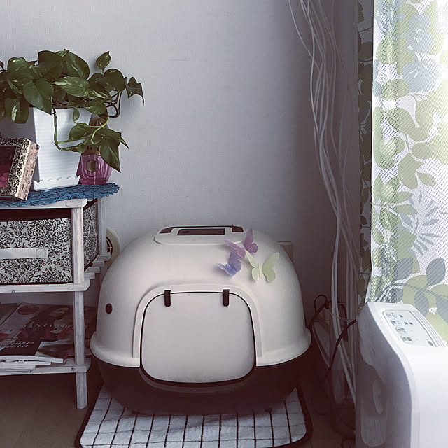 sRtさんの実例写真