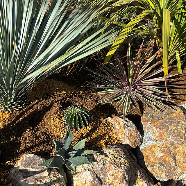 bonber0212さんの実例写真