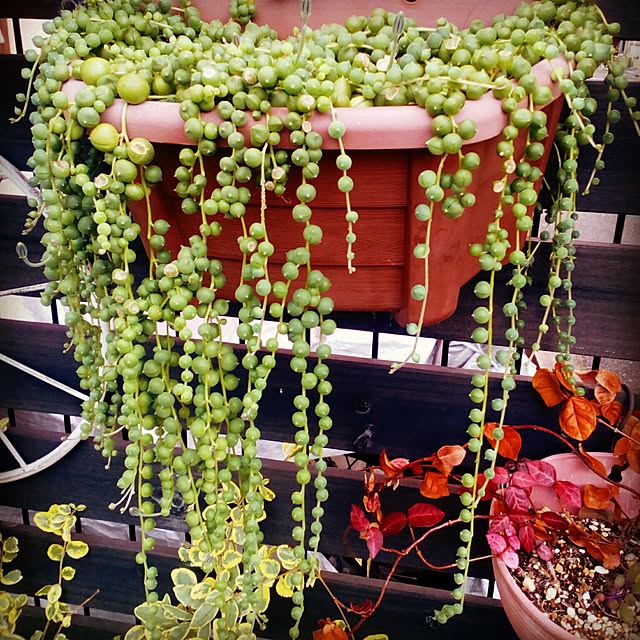VERANDARJUNさんの実例写真
