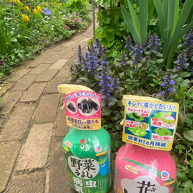 na-chanさんの部屋