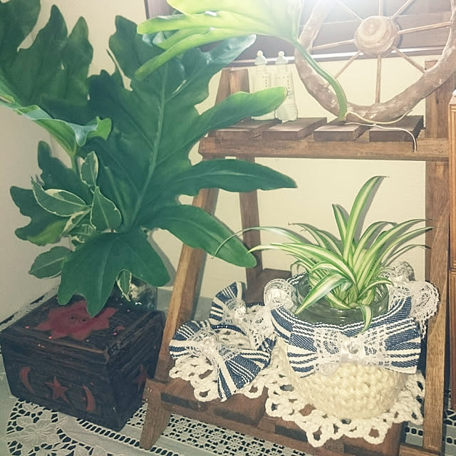 kotonaさんの実例写真