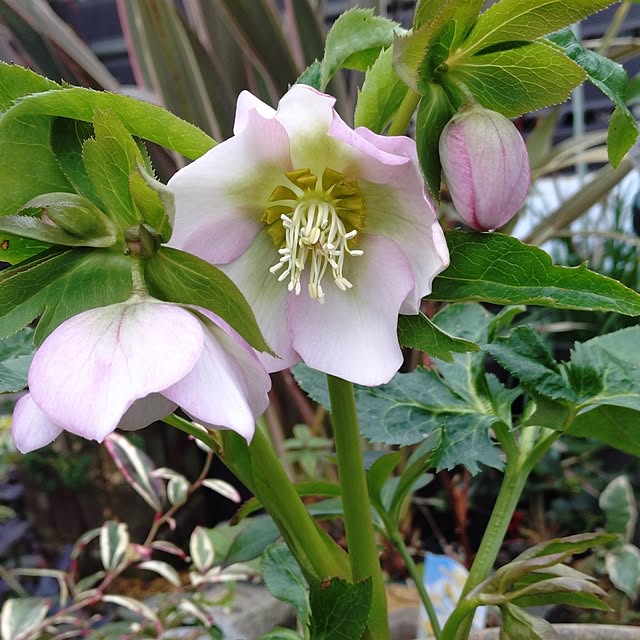 taeko0779さんの部屋