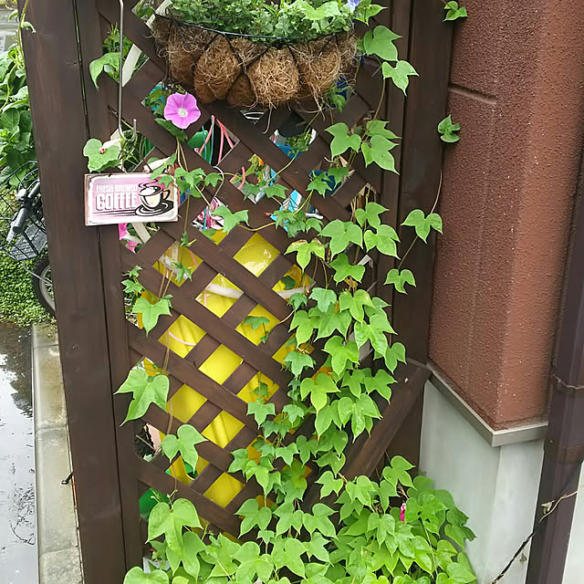 daisukeさんの実例写真