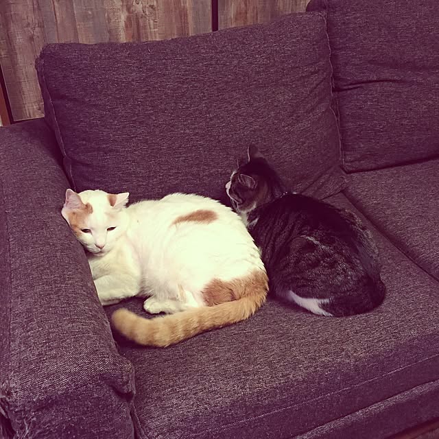Rettiさんの実例写真