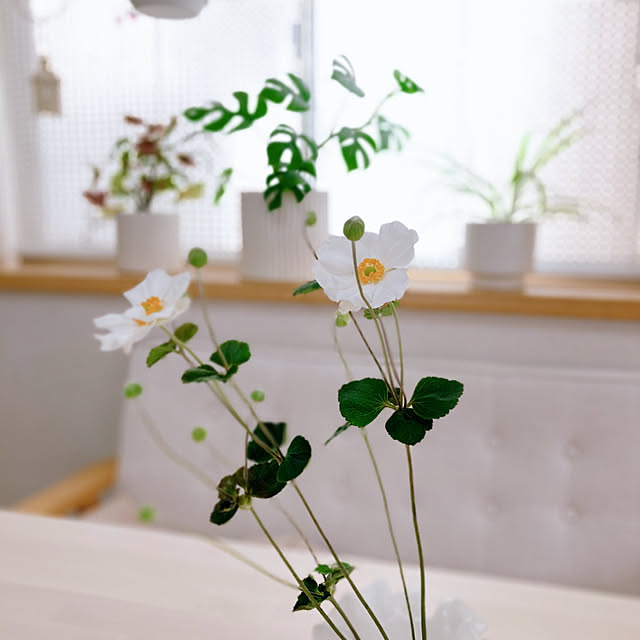 sunabaさんの部屋