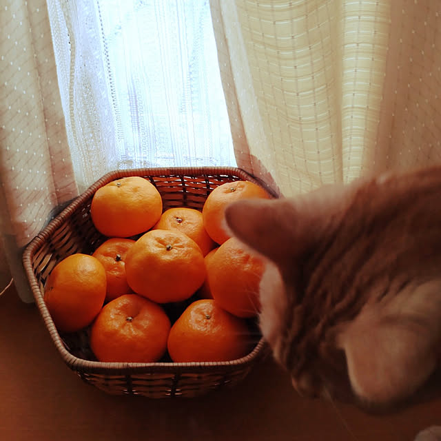glassさんの実例写真