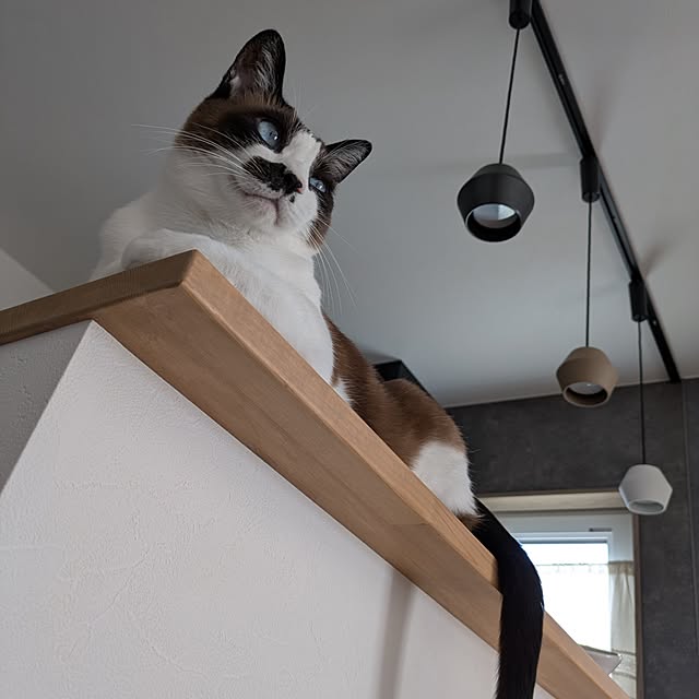 gacoccuさんの実例写真