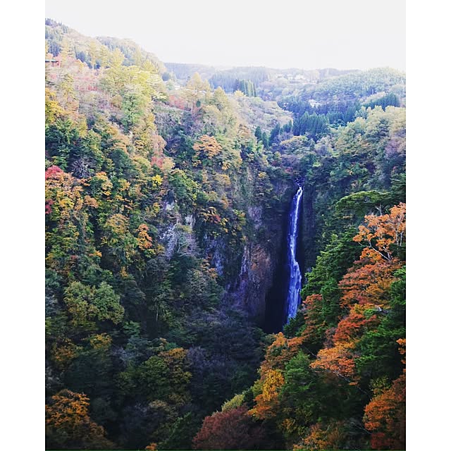 akaneさんの実例写真