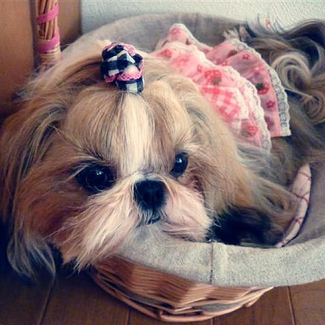 takkさんの実例写真