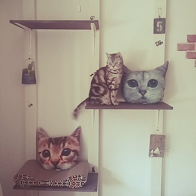 yumi0714さんの実例写真