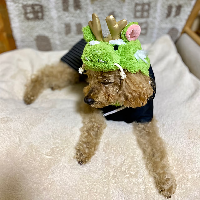 mさんの部屋