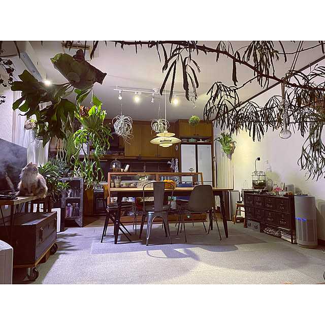 Megumiさんの実例写真