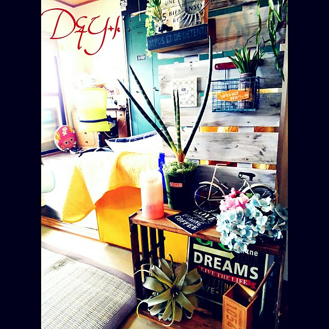DandYkさんの実例写真