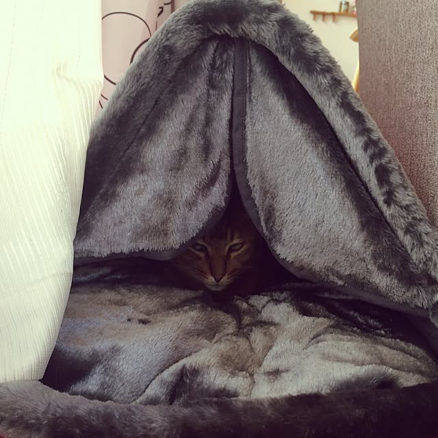 Yumiさんの実例写真