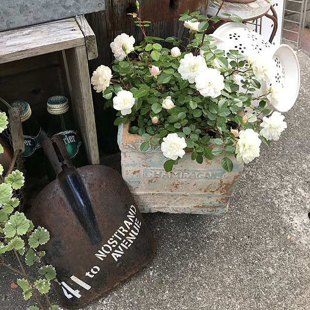 tanomamaさんの実例写真