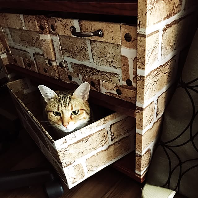1633さんの実例写真