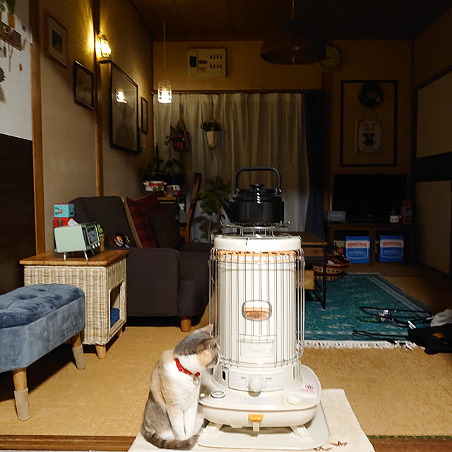 fukuさんの実例写真