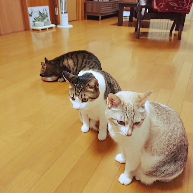 nachiさんの実例写真
