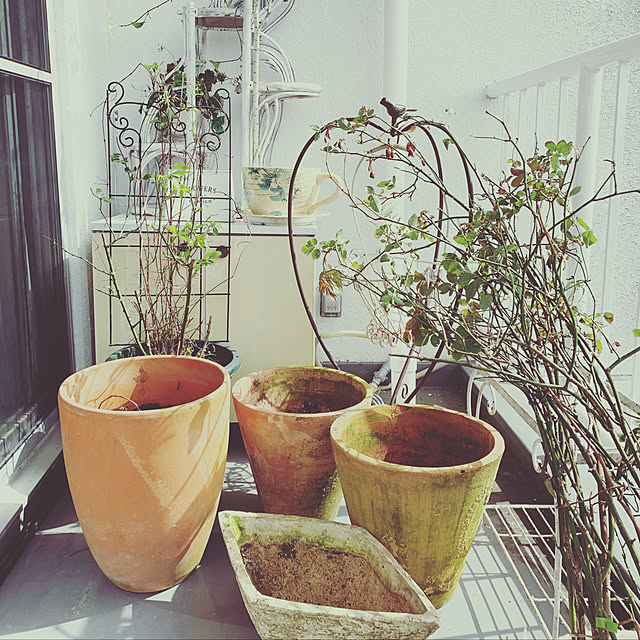 yukilove0122さんの実例写真