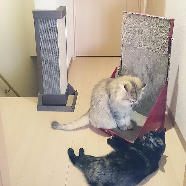 nanoさんの実例写真