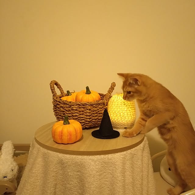 mayutan.さんの実例写真