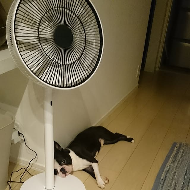 yurikoさんの実例写真