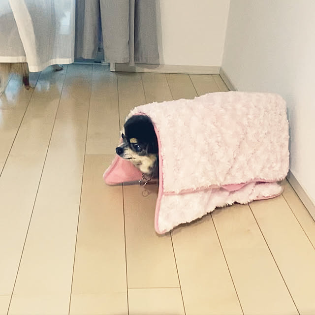 Mikiさんの実例写真