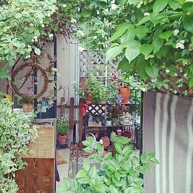 madamtacoさんの実例写真