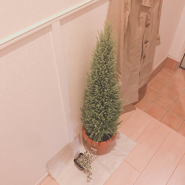mayu_mさんの実例写真