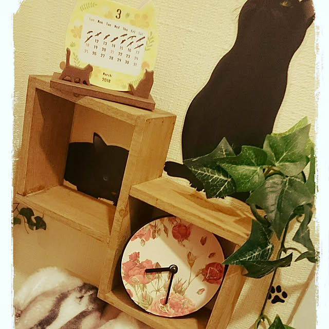 anneさんの実例写真