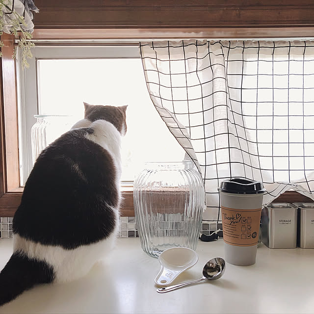 mahi1101さんの実例写真