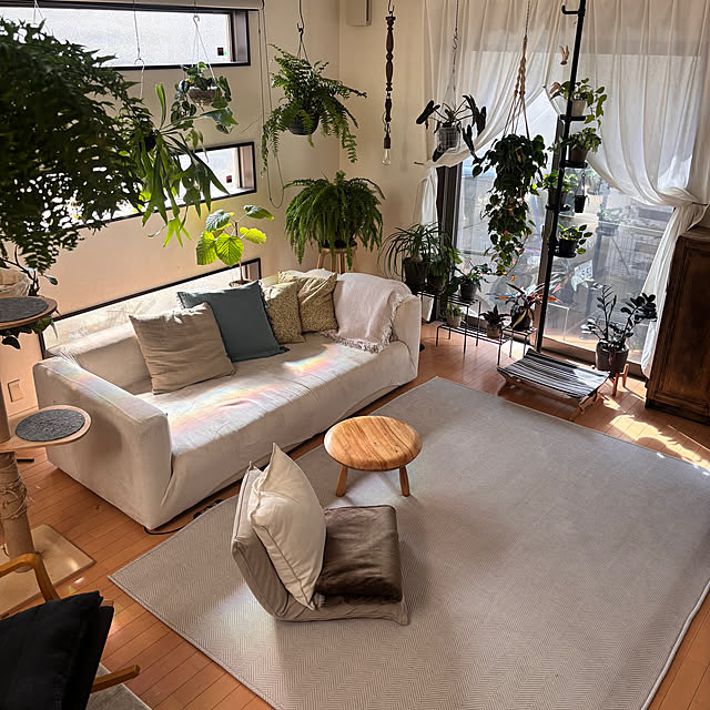 greycatsさんの実例写真