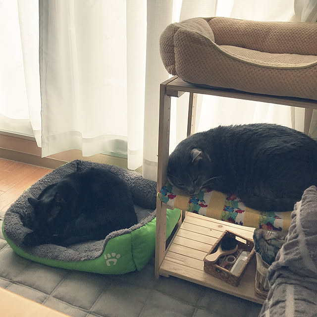 Machikoさんの実例写真
