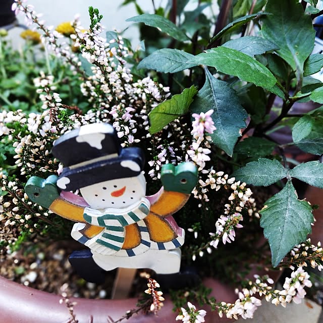 katさんの部屋
