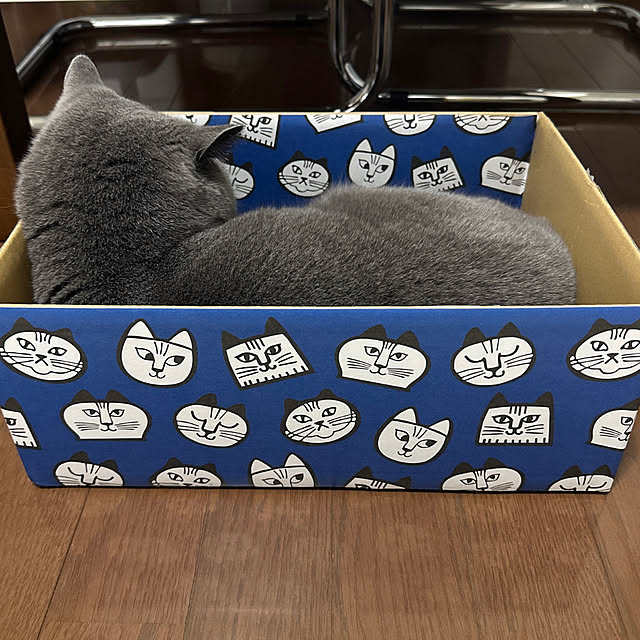 kittyさんの実例写真
