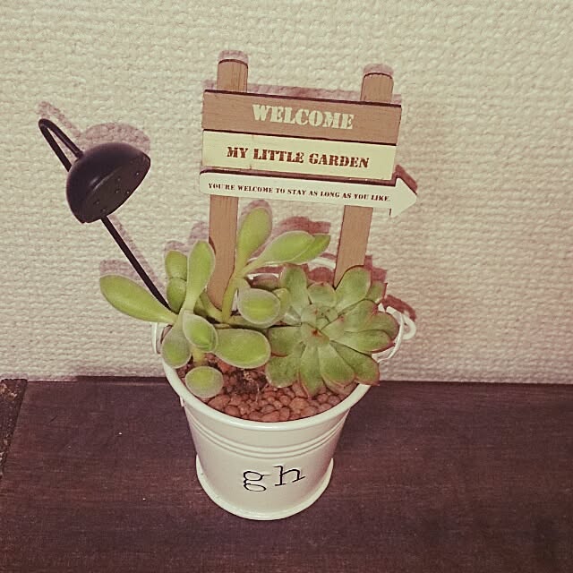 Ascaさんの実例写真